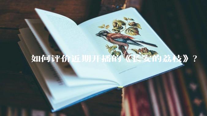 如何评价近期开播的《长安的荔枝》？
